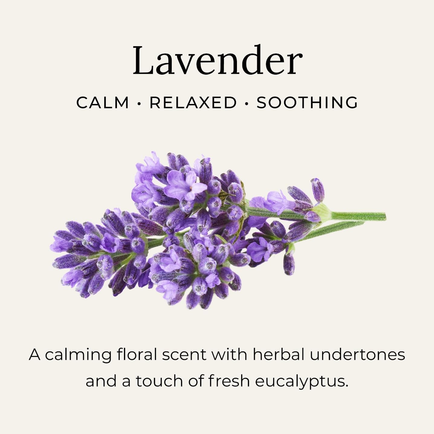 All-Natural Lavender Deodorant Cream - Aluminum Free, Unisex, 2.4 oz - Little Seed Farm