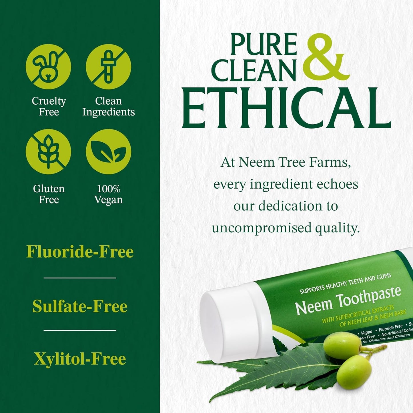 Neem Fluoride-Free Toothpaste - Family-Friendly, 100% Vegan & Natural, Gluten-Free, No Artificial Ingredients - Clove & Stevia (4 Pack)