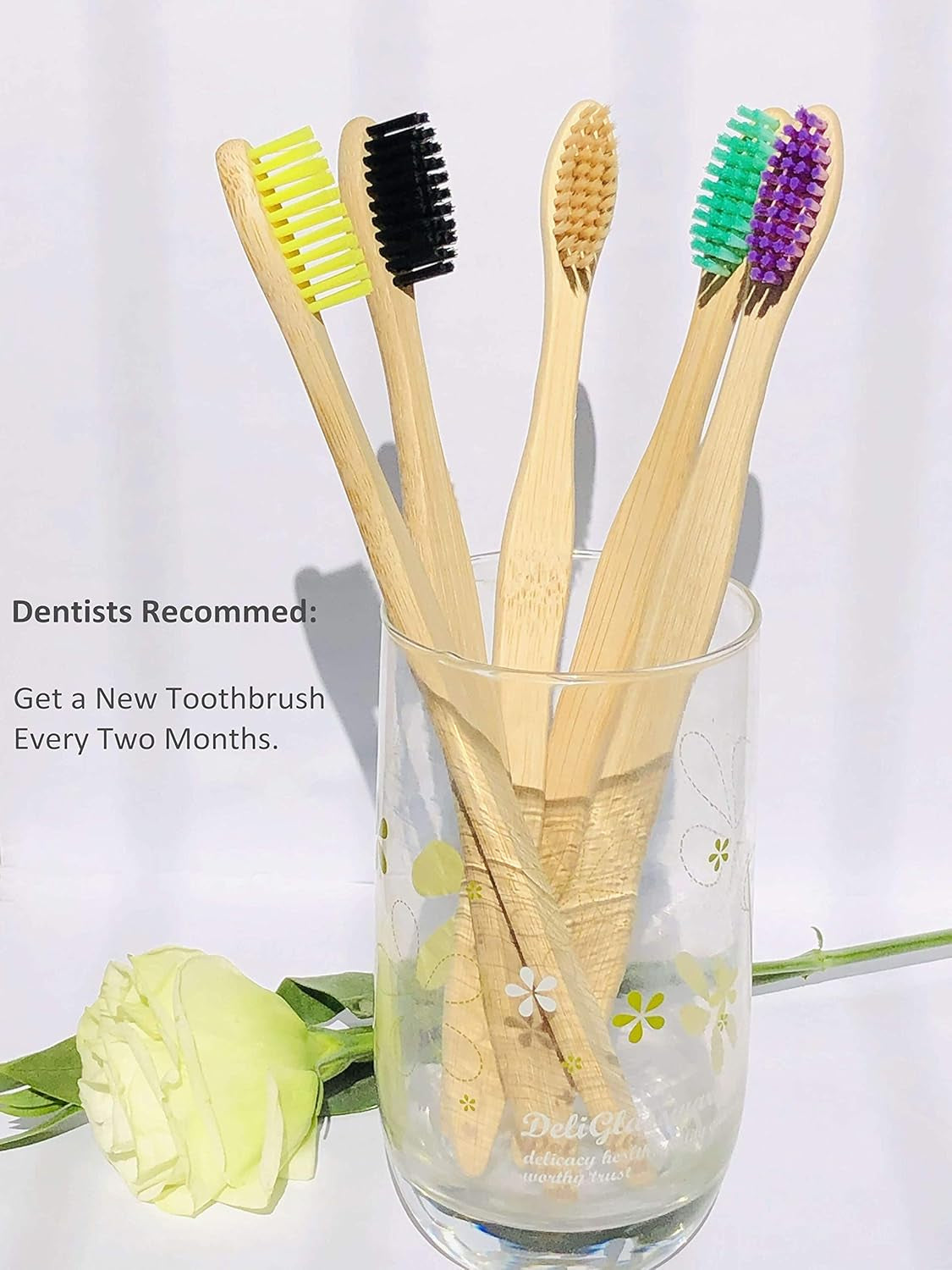 Eco-Friendly Bamboo Toothbrush Set - 10 Pack of Biodegradable Wooden Brushes with Medium Firm Bristles