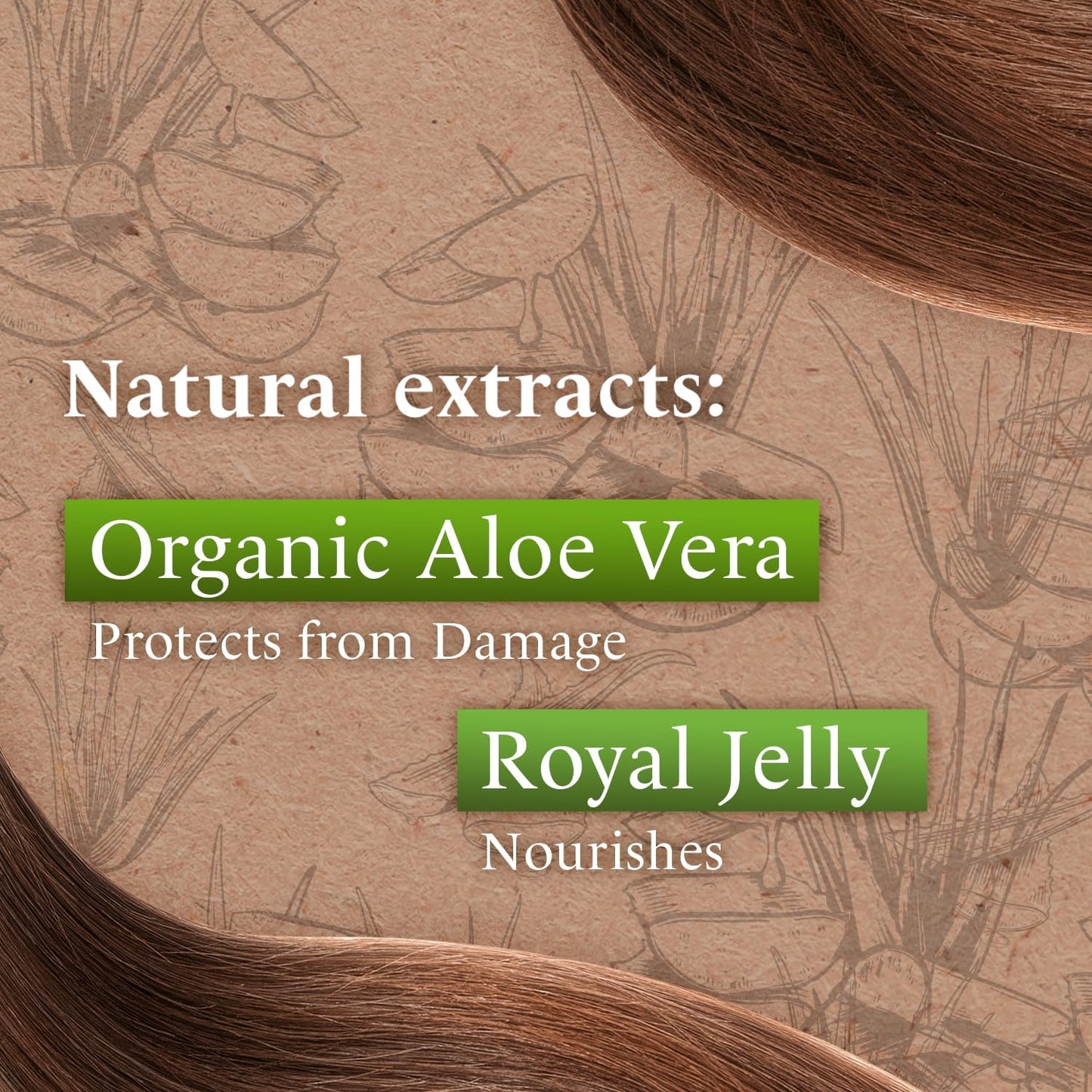 Tio Nacho Aloe Vera Deep Repair Shampoo - Organic Aloe Vera & Royal Jelly for Ultimate Hair Repair, Strength, and Shine - Paraben, Salt & Silicone-Free - 14 Oz