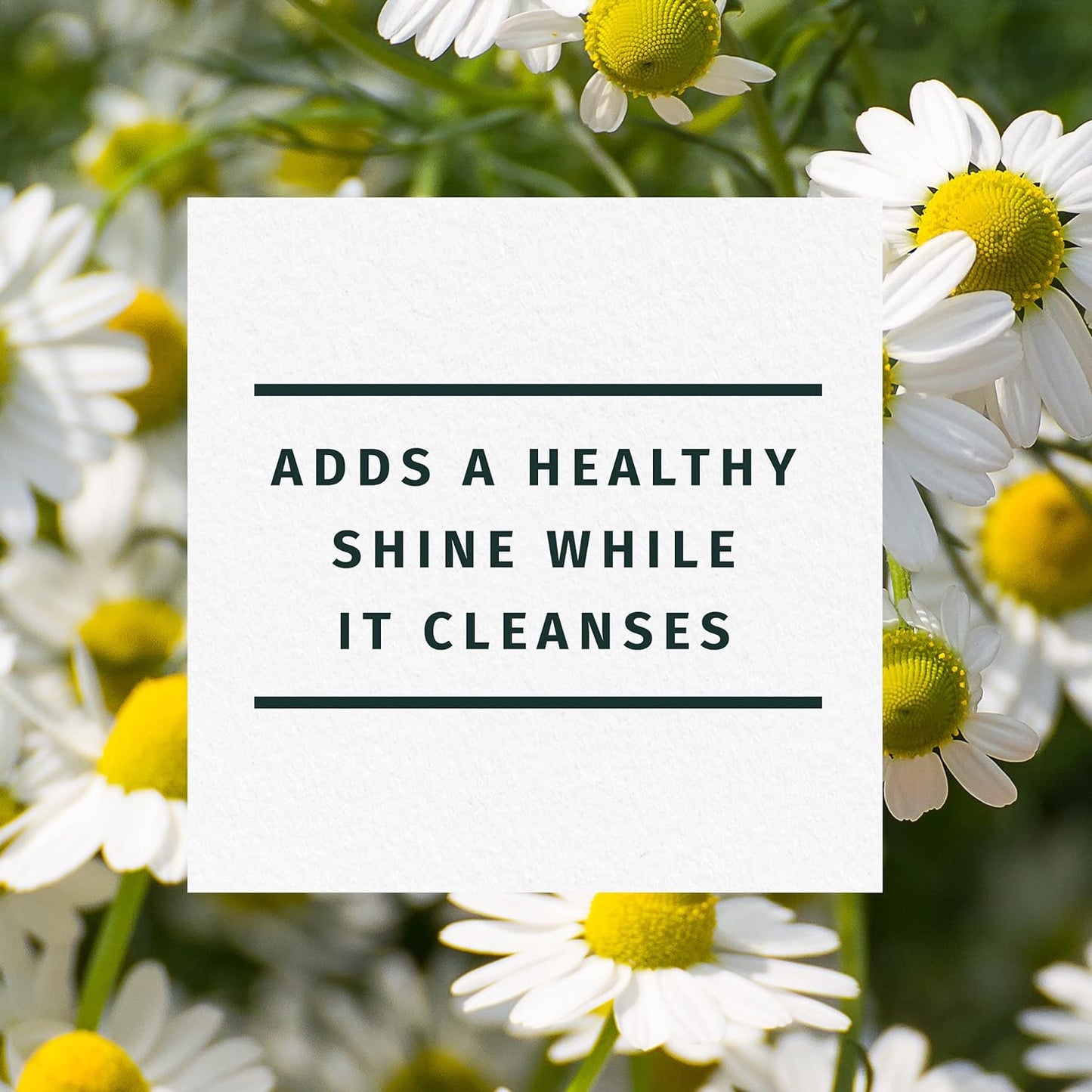 Revitalize Your Hair with Herbal Essences Shine Collection Shampoo