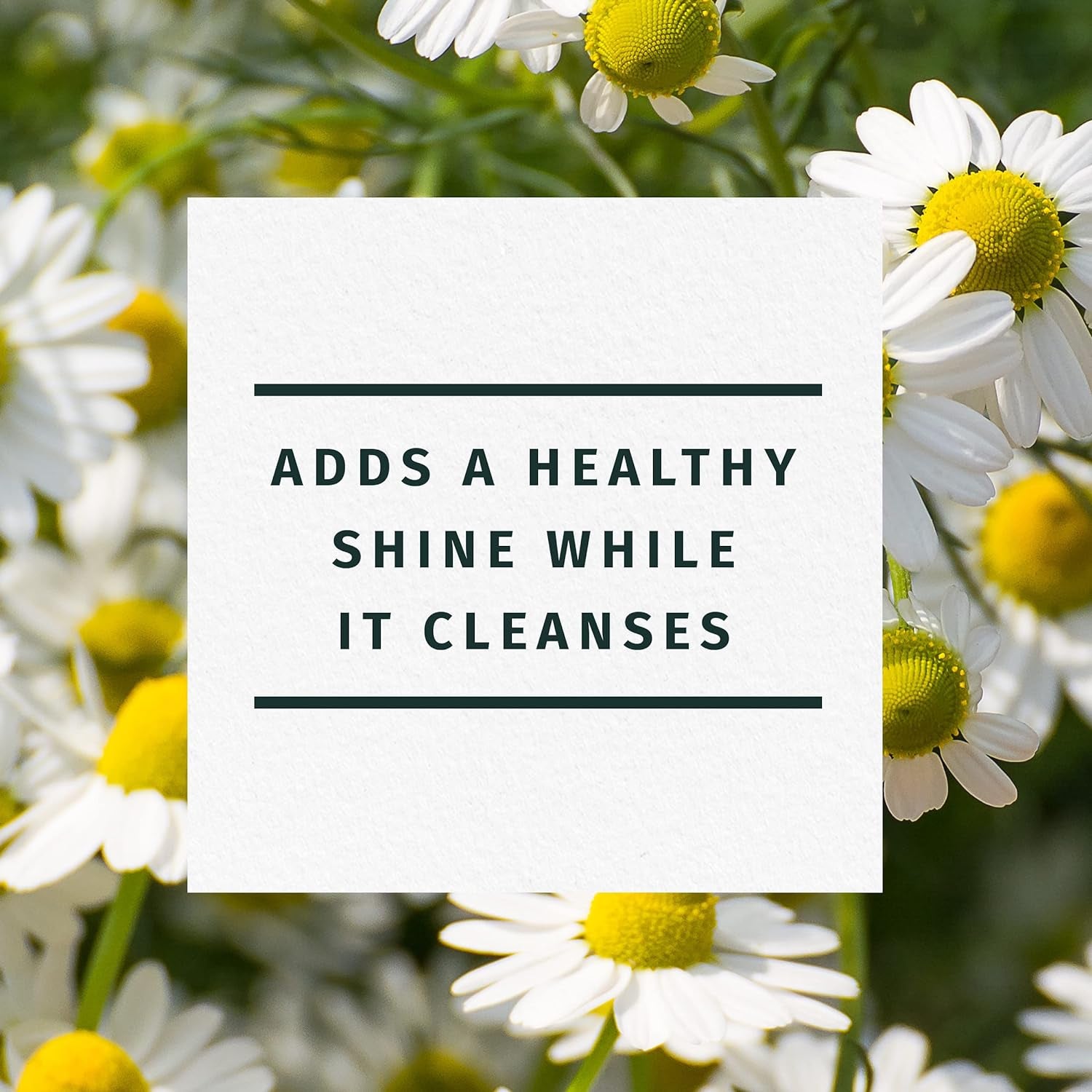 Revitalize Your Hair with Herbal Essences Shine Collection Shampoo